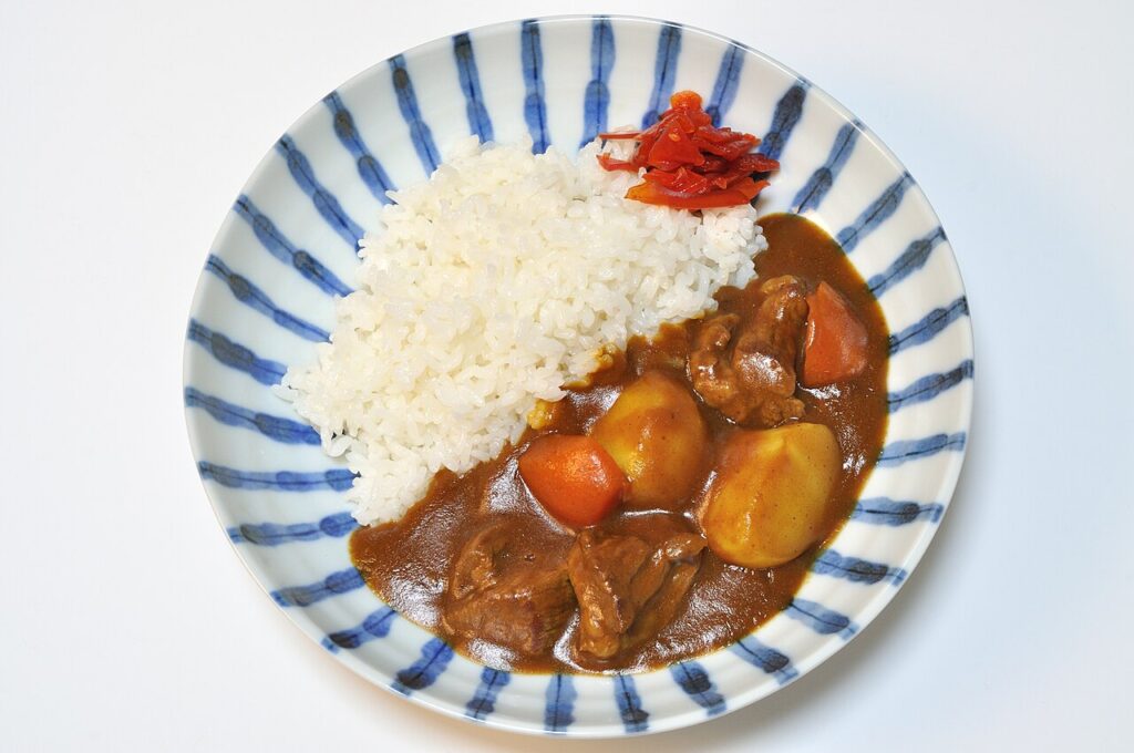 Beef curry rice