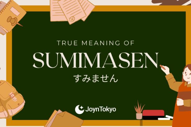 meaning of sumimasen