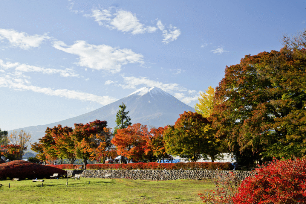Lake Kawaguchi (Momiji Tunnel)