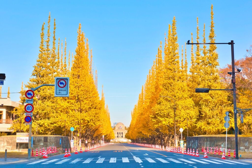 Meiji Jingu Gaien