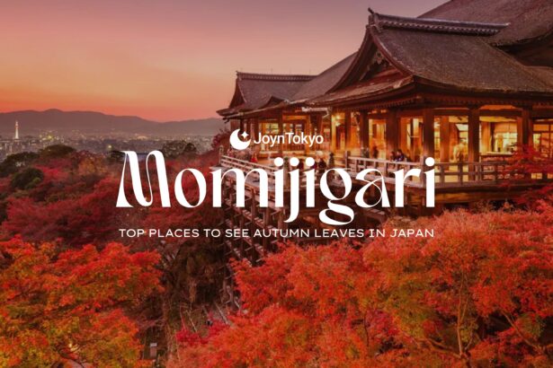 Momijigari in Japan
