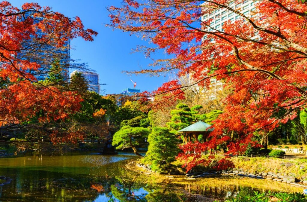 Rikugien Garden