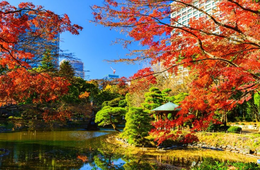 Rikugien Garden