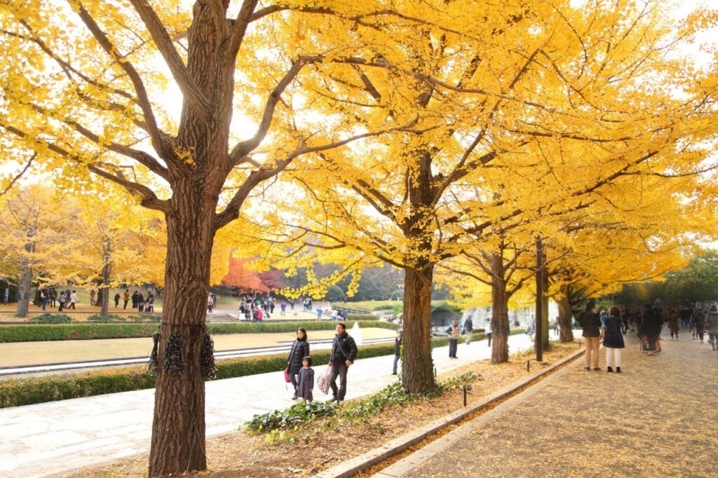 Showa Kinen Park