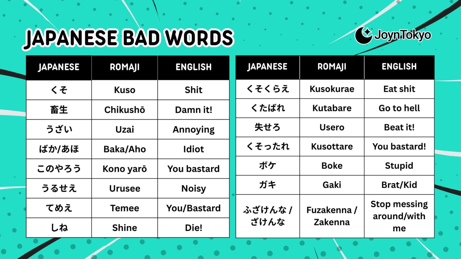 Common Japanese Bad Words