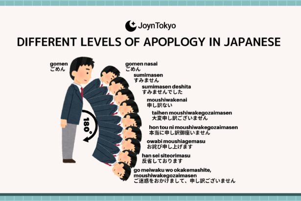 different level of apology in japanese