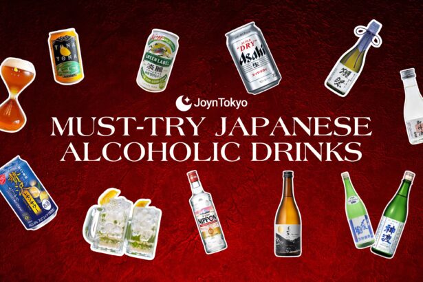 Japanese alcoholic drinks must try