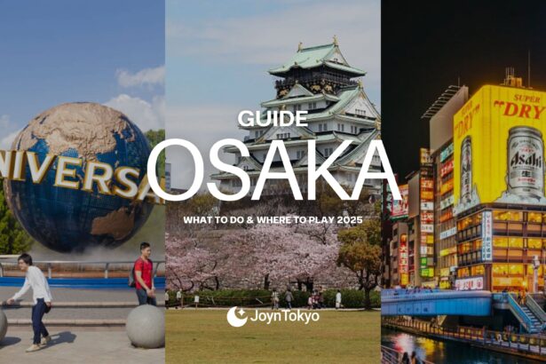 Osaka where to play and what to do in 2025