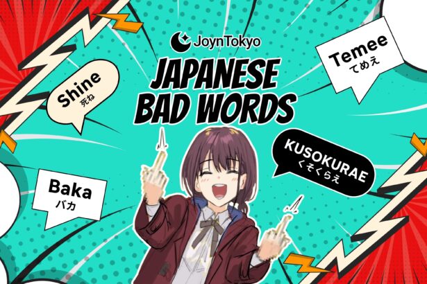 japanese swear words commonly used