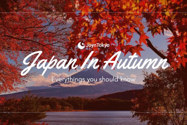 Autumn in Japan