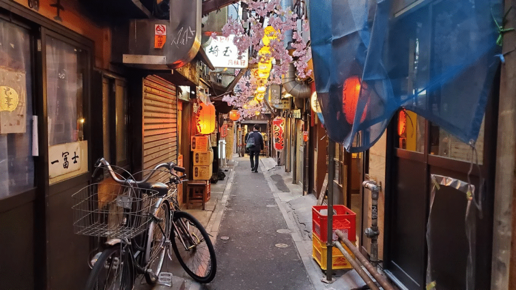 Omoide Yokocho Shinjuku