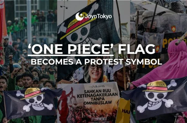 One Piece flag protest