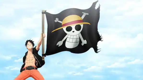 why one piece flag