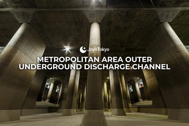 Metropolitan Area Outer Underground Discharge Channel