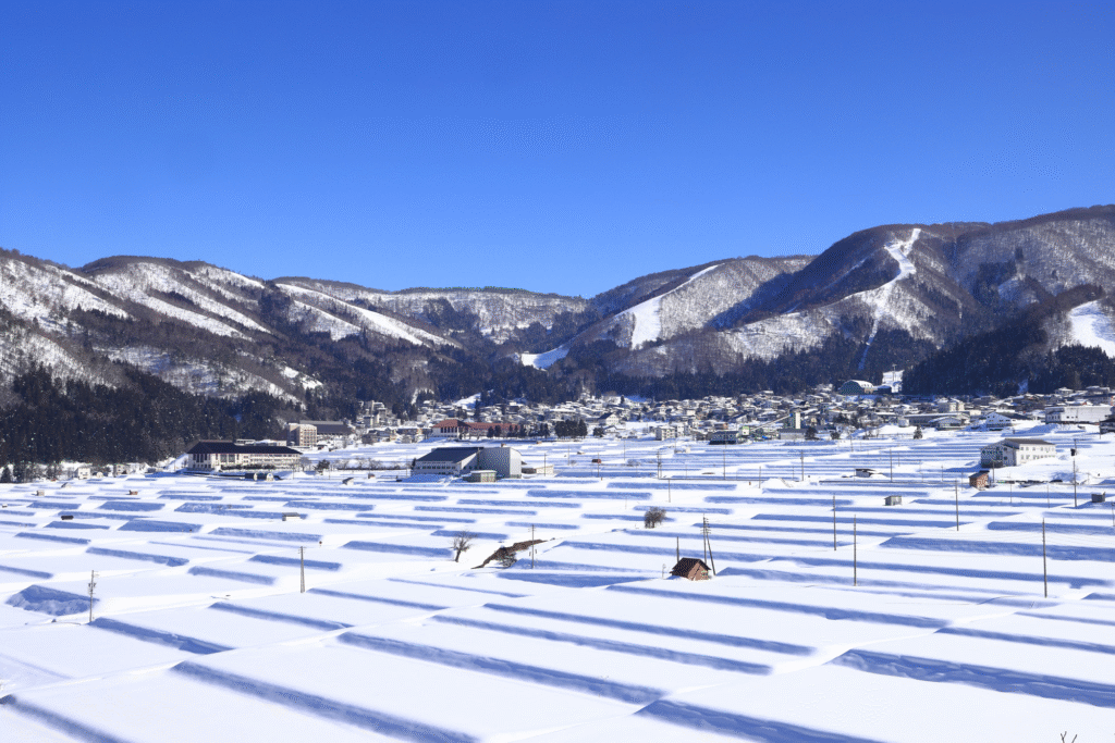 Nozawa Onsen (Nagano)
